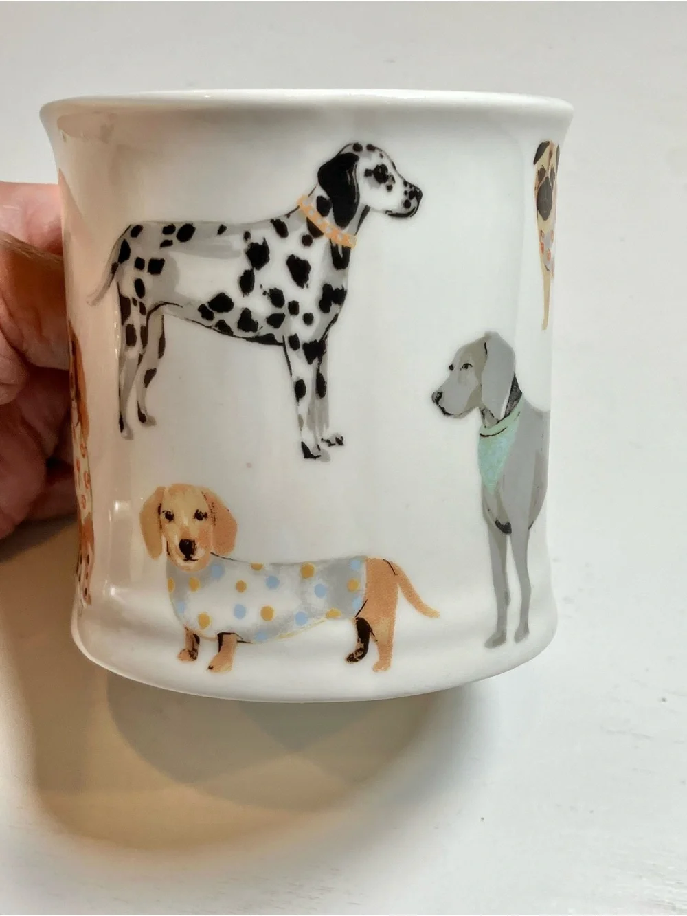 Dog Print Ceramic Mug with Pug & Spaniel Motif - White